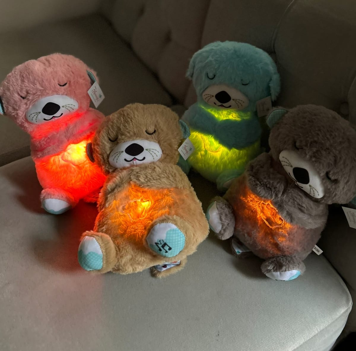 NUTRIA KOALA RELAJANTE PELUCHE APEGO RES