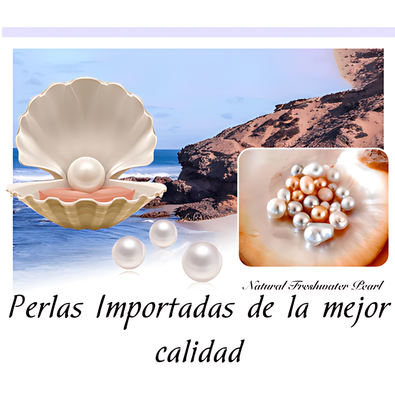 COLLAR DE CISNE ELEGANTE