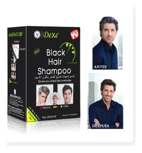 SHAMPOO PINTA CANAS NEGRO