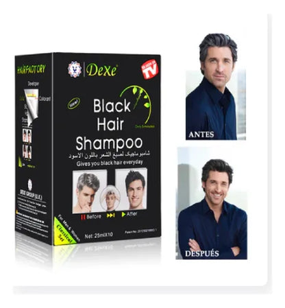 SHAMPOO PINTA CANAS NEGRO