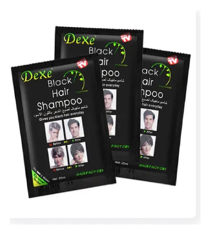 SHAMPOO PINTA CANAS NEGRO